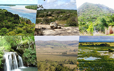 biomas_brasileiros destacada