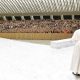 papafrancisco1